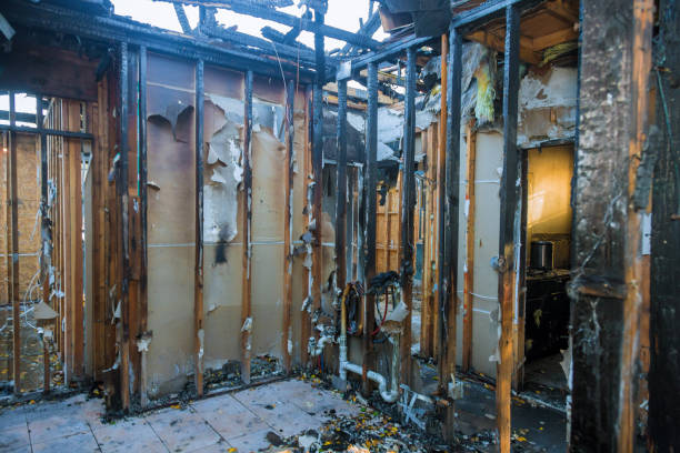 Professional Fire Damage Removal technician working in Meridian, PA